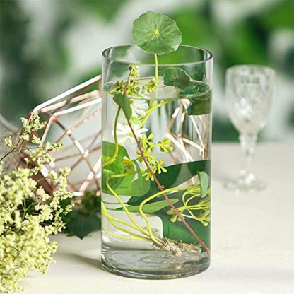 CRAFTFRY Home Decoration Glass Clear Cylinder Vase Floral Wide Cylinder Glass Vase for Weddings, Events, Decorating, Arrangements, Flowers, Office, or Home Decor